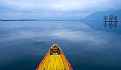 Picture Title - Dal lake, Srinagar, Kashmir