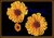 Three Chrysanthemums
