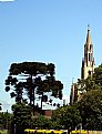 Picture Title - Trees & Church