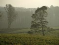 Picture Title - Misty Sunday Afternoon