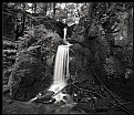 Picture Title - Black Forest waterfall