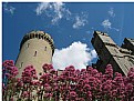 Picture Title - Arundel Castle