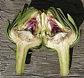 Picture Title - Artichoke