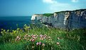 Picture Title - Etretat, cliffs....