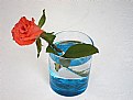 Picture Title - rose & glass