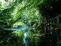 Picture Title - Blue Pond