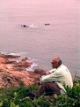 Picture Title - Old Man