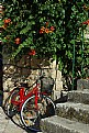 Picture Title - red bike
