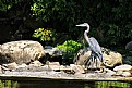 Picture Title - Wading the creek bed