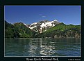 Picture Title - Kenai Fjords NP (d5910)