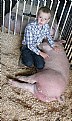 Picture Title - Kid Pig