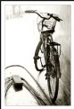 Picture Title - The Bicycle