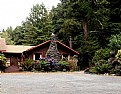 Picture Title - A Home In The Redwoods