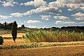 Picture Title - Tuscany