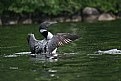 Picture Title - Lake Views