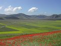 Picture Title - Castelluccio