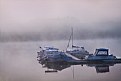 Picture Title - Foggy Morning