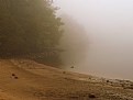 Picture Title - Fog on the Lake