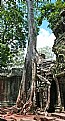 Picture Title - Angkor 38