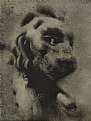 Picture Title - The lion of queen Srimala