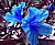 Blue Flower