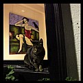 Picture Title - cat lover / art lover