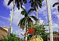 Picture Title - Flowers & Sky at the Museum