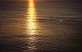 Picture Title - Sun Reflection