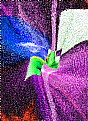 Picture Title - Absolute