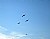 Birds & Blue Sky