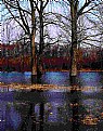 Picture Title - water trees