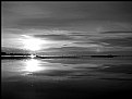 Picture Title - ...