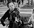 Picture Title - Practicing the Violin