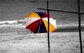 Picture Title - Umbrella