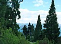 Picture Title - Conifers & Lake