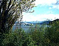 Picture Title - Lake, Boats & Flowers