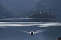 Picture Title - Lake Bled, evening