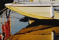 Picture Title - Moored Reflections  
