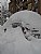 Car under Snow