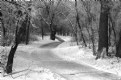 Picture Title - Frosty Path