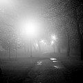 Picture Title - fog park