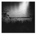 Picture Title - holga