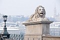 Picture Title - Széchenyi Chain Bridge (1)