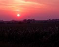 Picture Title - sunset in farmland