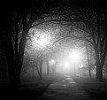 Picture Title - fog park