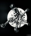 Picture Title - Alien moon 2