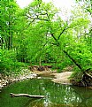 Picture Title - green river