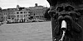 Picture Title - Bebedero de Venecia