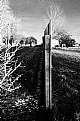 Picture Title - fenced