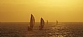 Picture Title - Sailboats at sunset